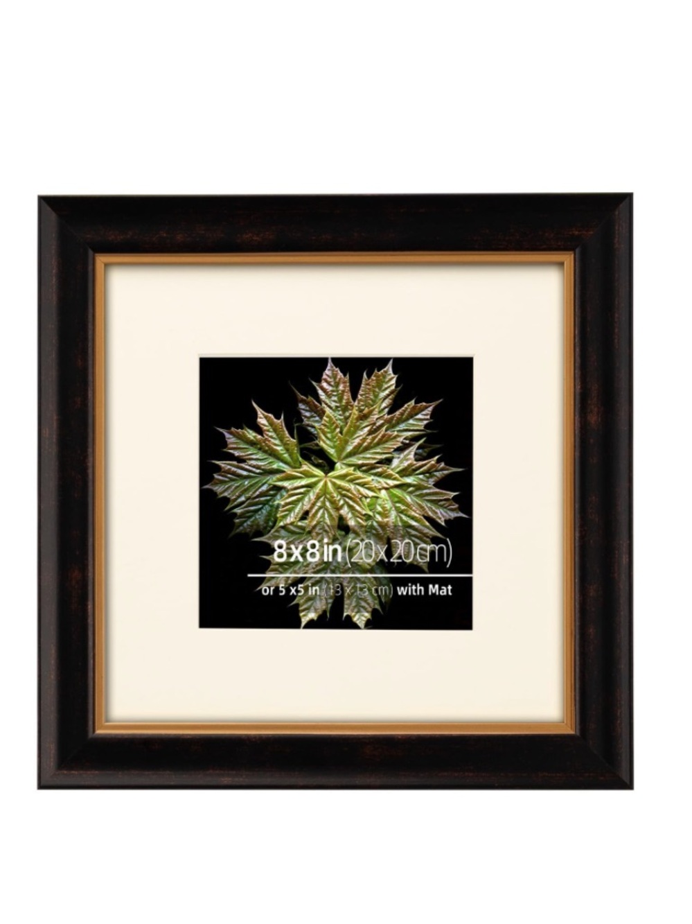 Museum-Grade Black Bronze Wood Frame Tabletop or Wall Mount SQUARE 8x8”